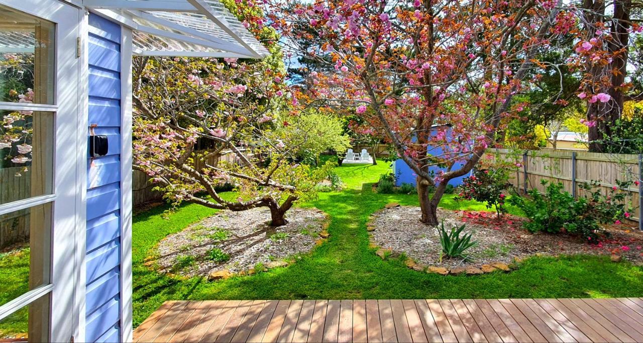 Plum Blossom Cottage Katoomba Exterior photo